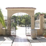 Vivanza003