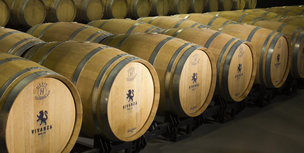 Bocetohorizontalcolor